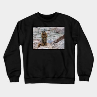 Get Off My Rocks! Crewneck Sweatshirt